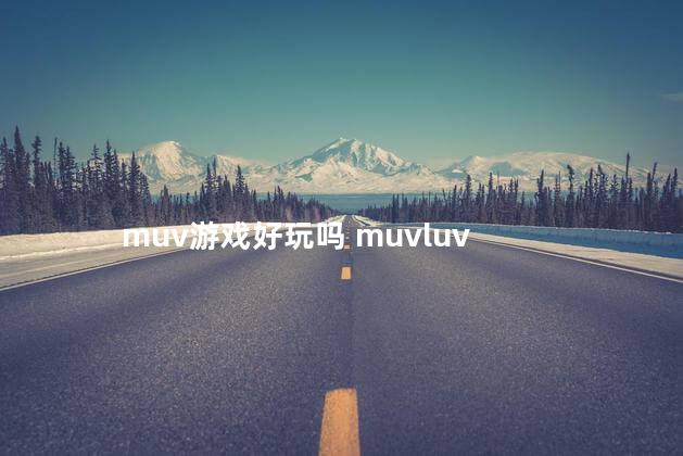 muv游戏好玩吗 muvluv